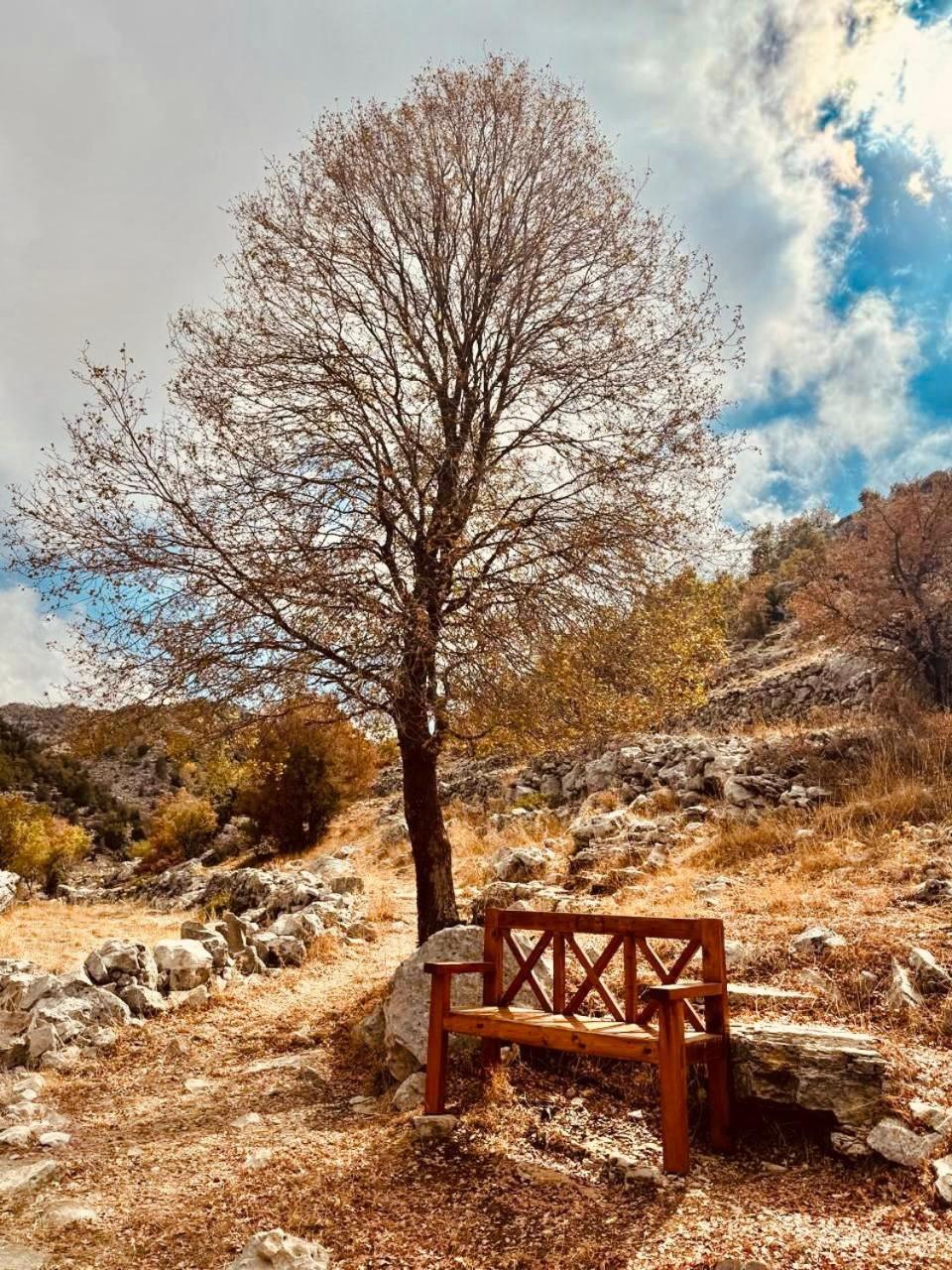 Hotel Stone Cellars Douma Exteriér fotografie